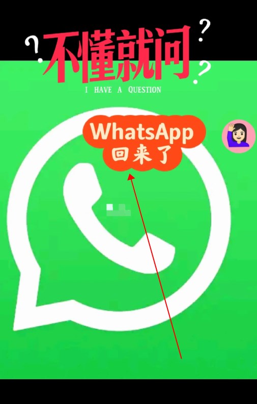 whatsapp官方下载_whatsapp官方下载 华为