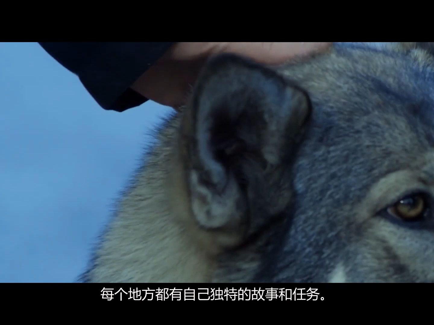巫师下载地址_巫师手机下载中文版