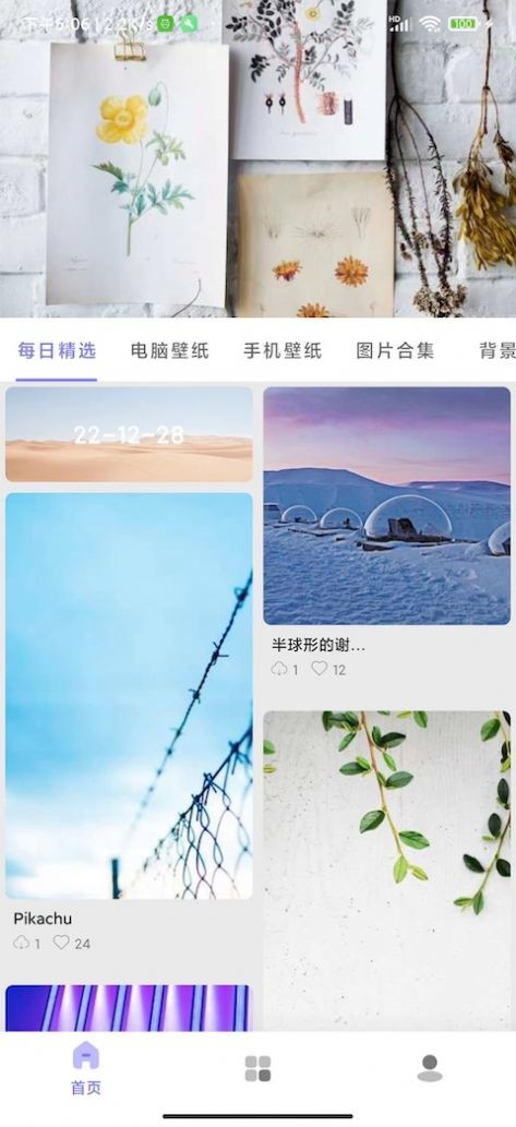 派派安卓下载-(下载安装派派新版)