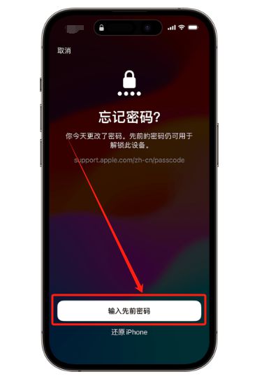 苹果下载密码(苹果下载密码忘记了怎么办)