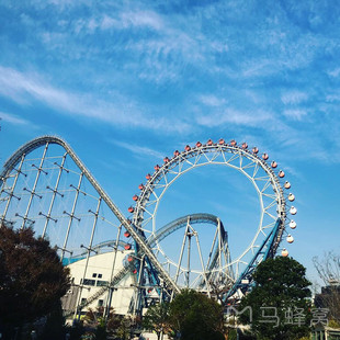 巨蛋乐园无登录下载的简单介绍