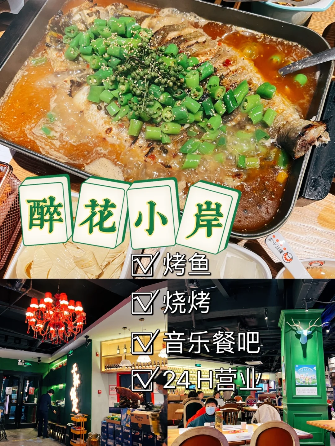 烤鱼视频歌曲大全集下载(我想看烤鱼)