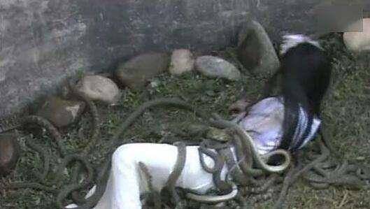 恶性刑罚大全图片视频下载-(恶性刑罚大全图片视频下载安装)